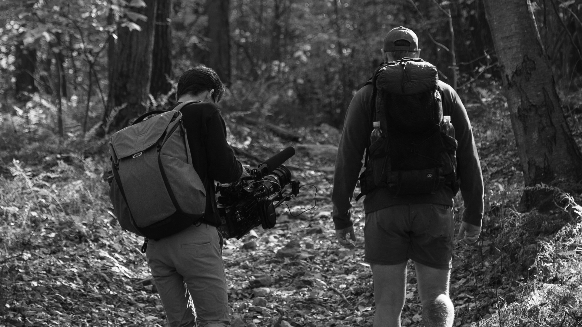 Behind the Scenes Filming in Pennsylvania woods